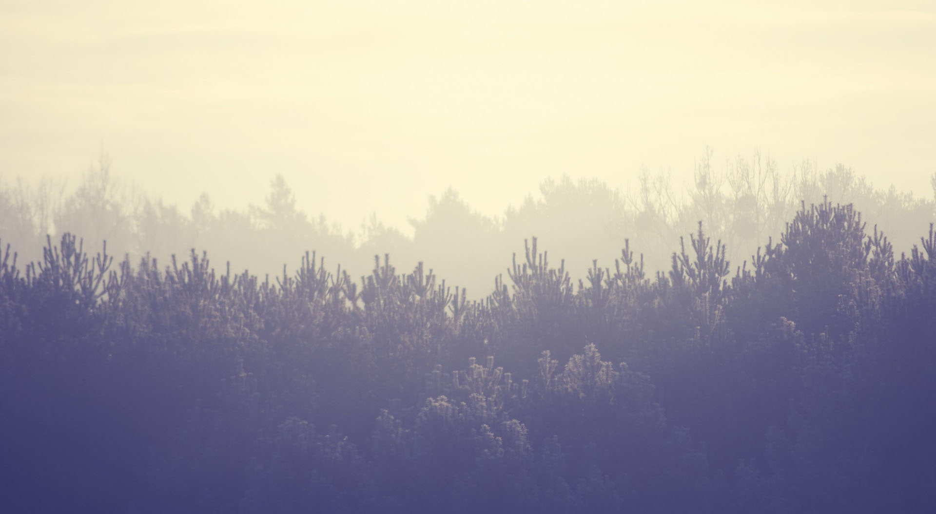 Terraform AWS EKS Infrastructure as Code